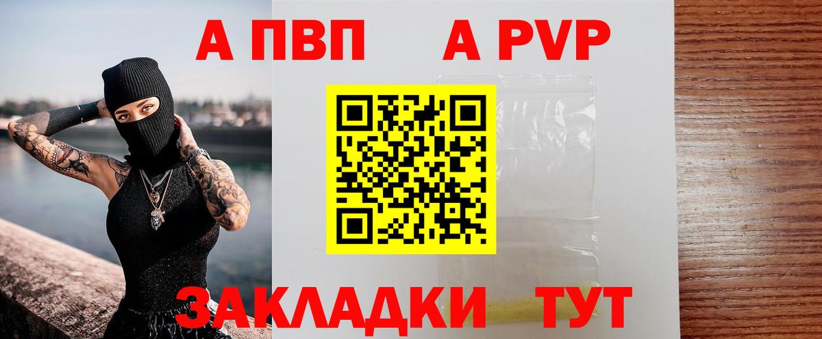 A PVP СК КРИС  Альфа ПВП СК КРИС  Кропоткин  Вход с VPN 