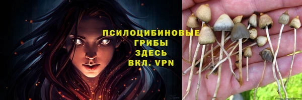 a pvp Козловка
