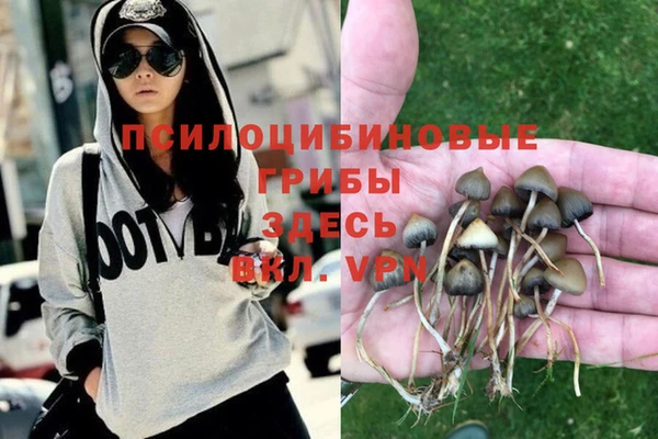 первитин Костерёво