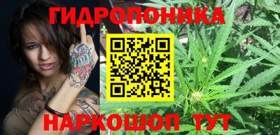 PSILOCYBIN Кандалакша