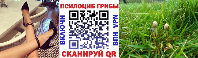 Галлюциногенные грибы Cubensis  ссылка на мегу рабочий сайт  Кропоткин 