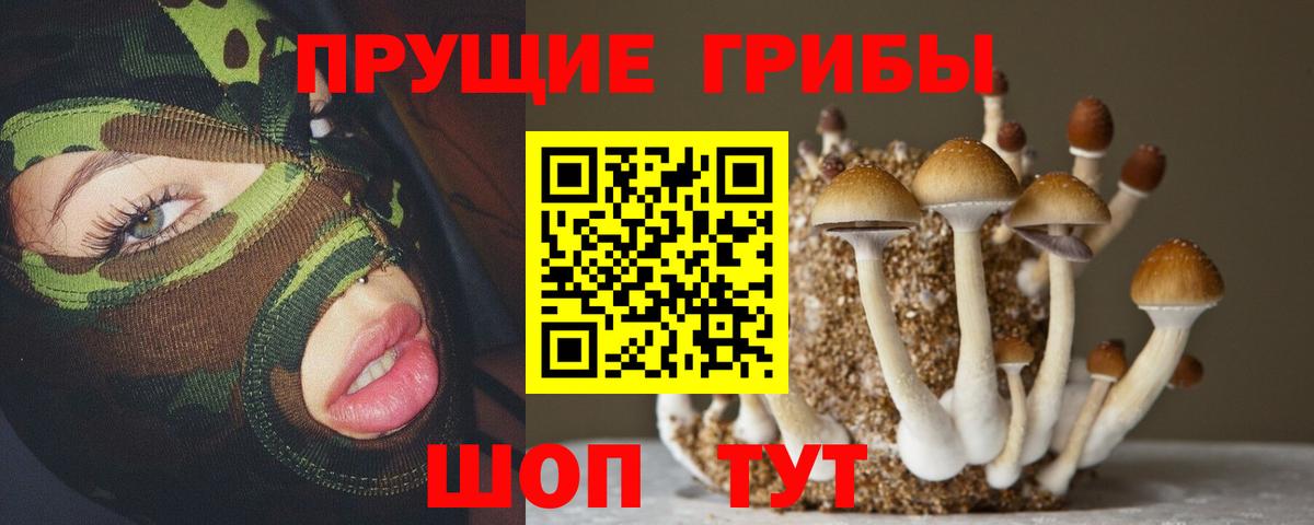 Галлюциногенные грибы прущие грибы Кропоткин